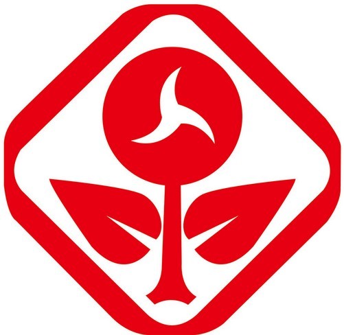 天天盈球